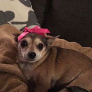 Meet your Posher, Morgan